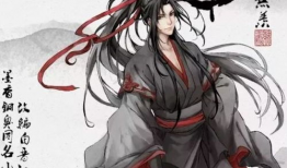 魔道祖师动漫全集免费,探寻仙门秘境，揭秘蓝忘机与魏无羡的传奇人生